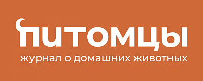 Питомец 